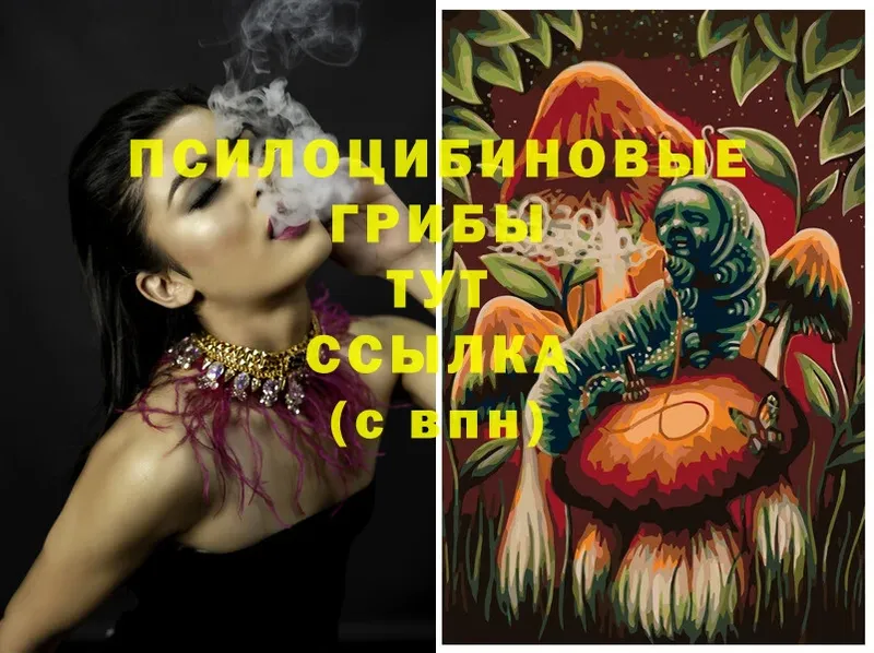 Псилоцибиновые грибы Magic Shrooms  Хабаровск 